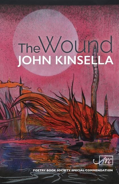 Front cover_The Wound