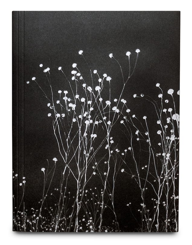 Front cover_The Uncanny