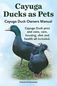 Front cover_Cayuga Ducks as Pets. Cayuga Duck Owners Manual. Cayuga Duck pros and cons, care, housing, diet and health all included.