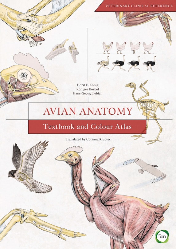 Front cover_Avian Anatomy