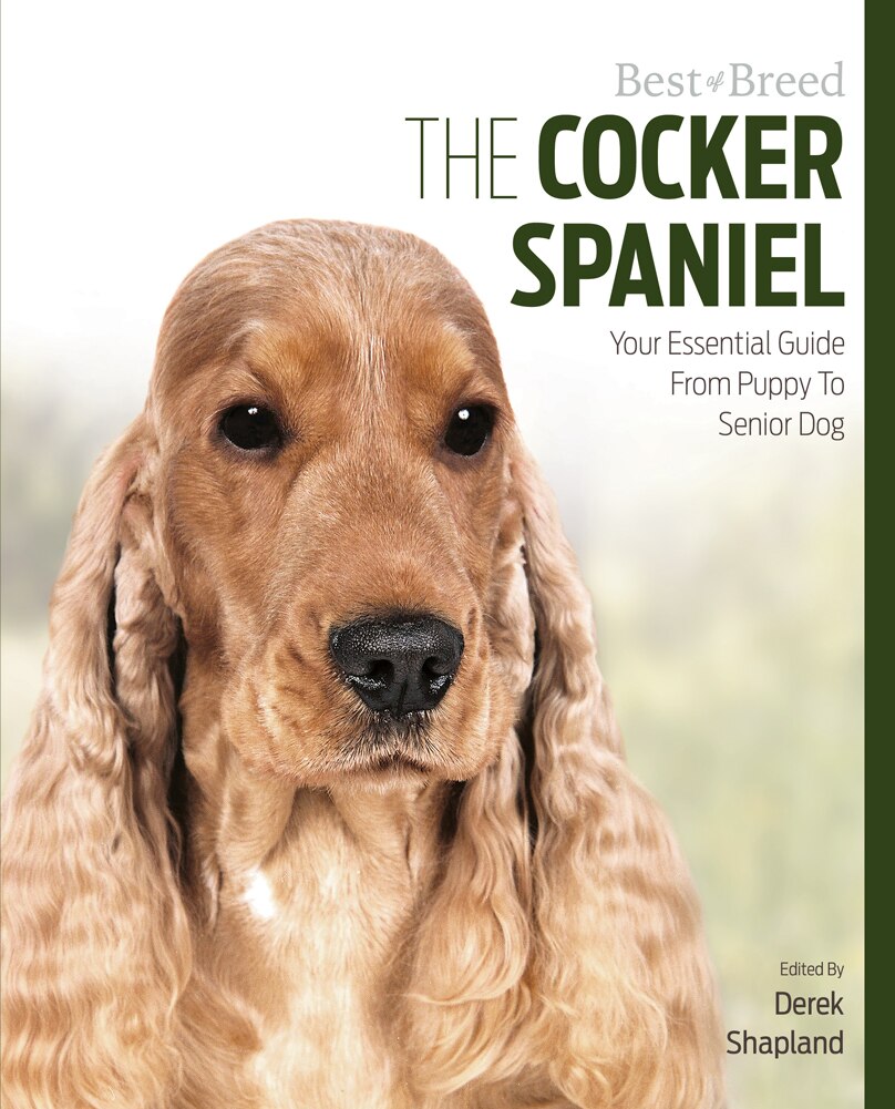 The Cocker Spaniel Your Essential Guide From Puppy To Senior Dog Book By Penny Parsons Paperback Www Chapters Indigo Ca