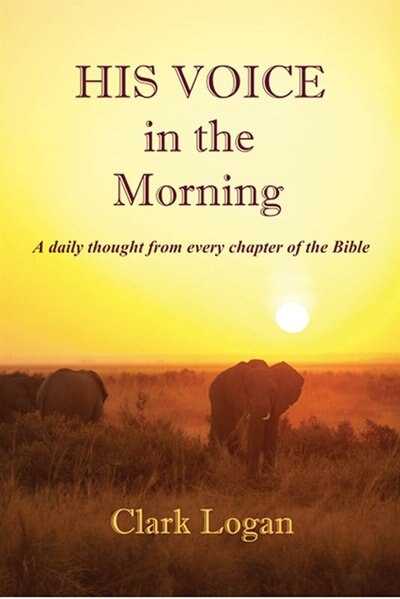 Couverture_His Voice In The Morning