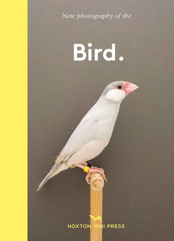 Front cover_New photography of the Bird.