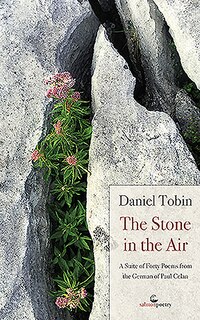 Couverture_Stone in the Air