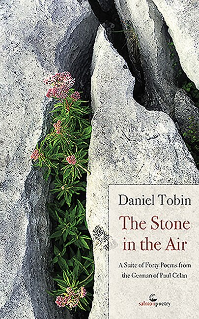 Couverture_Stone in the Air
