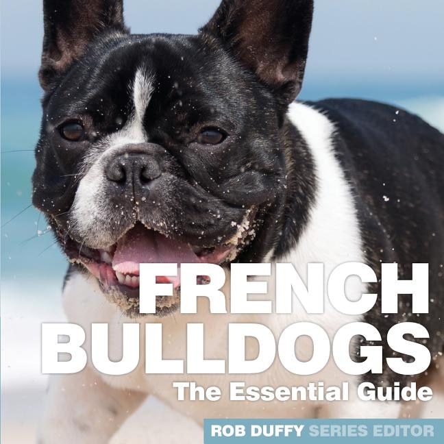 French store bulldog essentials