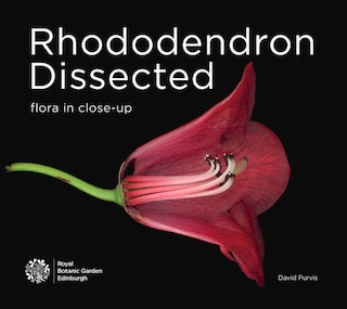 Rhododendron Dissected: Flora in Close-Up