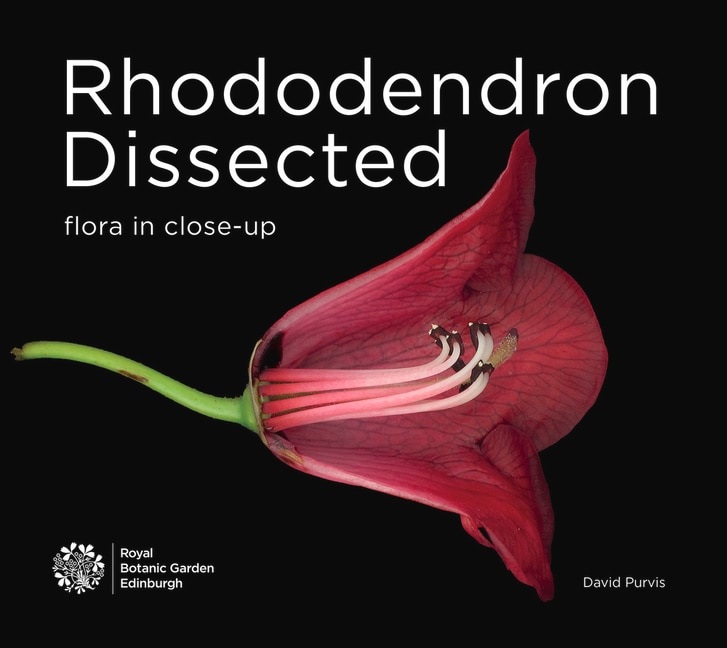 Rhododendron Dissected: Flora in Close-Up