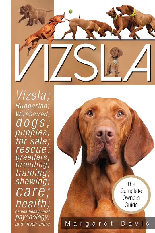 Vizsla