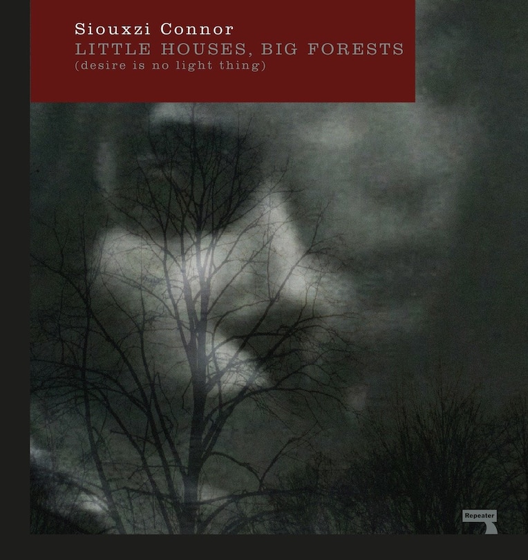Front cover_Little Houses, Big Forests