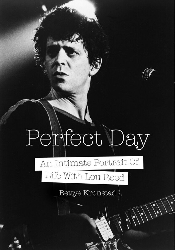 Couverture_Perfect Day