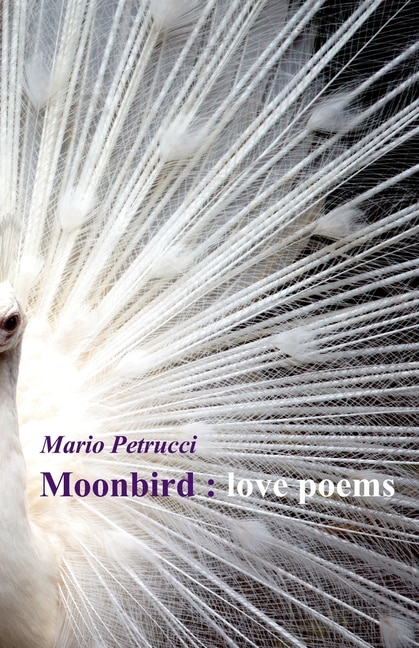 Front cover_Moonbird
