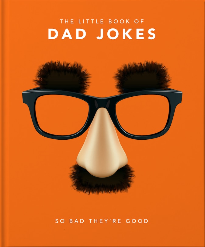 Couverture_Little Book of Dad Jokes