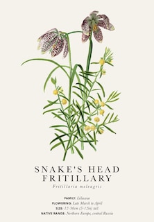 Front cover_Gift Message Cards - Kew Rare Plants