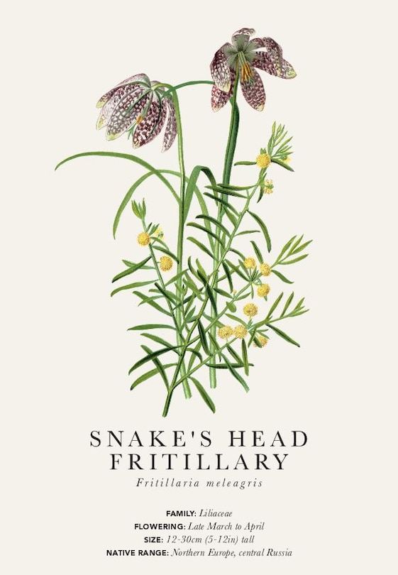 Front cover_Gift Message Cards - Kew Rare Plants