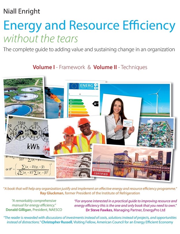 Front cover_Energy and Resource Efficiency without the tears