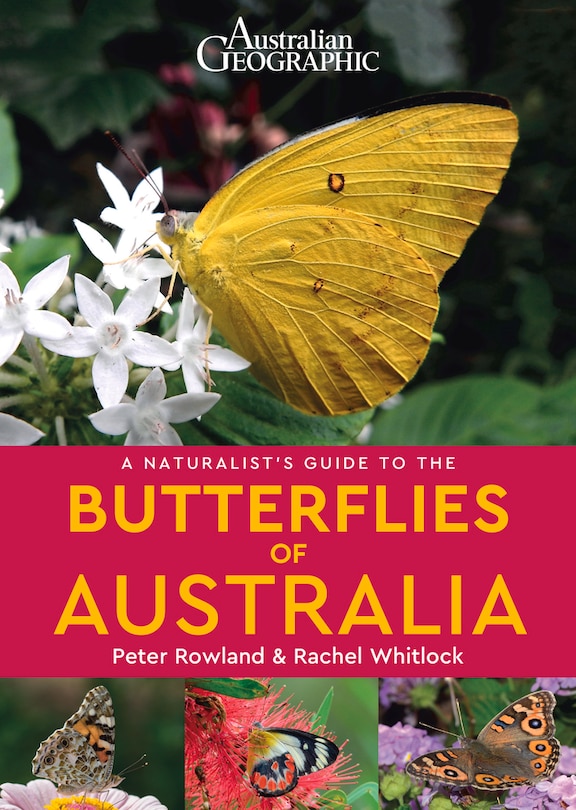 Front cover_A Naturalist's Guide To The Butterflies Of Australia