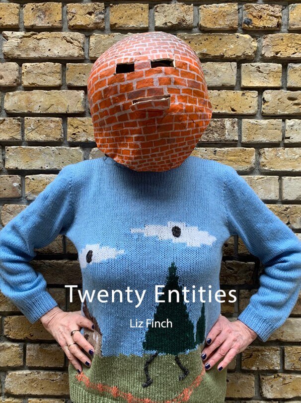 Front cover_Liz Finch: Twenty Entities
