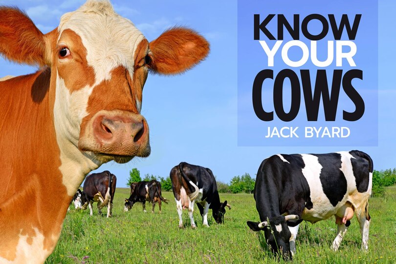 Front cover_Know Your Cows
