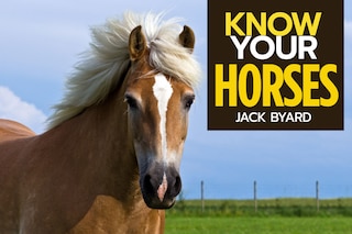 Front cover_Know Your Horses