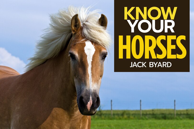 Front cover_Know Your Horses