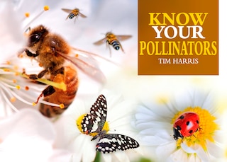Couverture_Know Your Pollinators