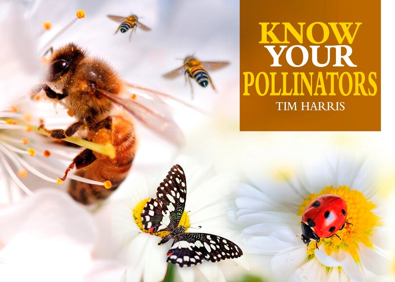Couverture_Know Your Pollinators