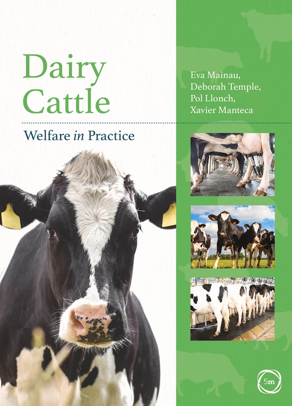 Dairy Cattle Welfare In Practice