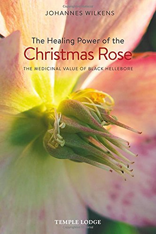 Couverture_The Healing Power of the Christmas Rose