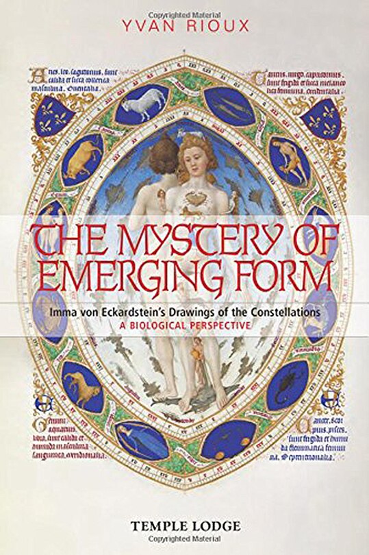 Front cover_The Mystery of Emerging Form