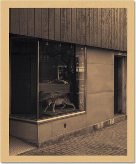 Front cover_The Local