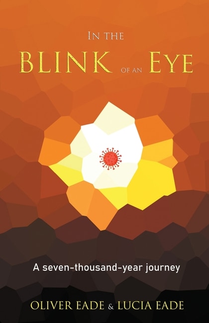 Couverture_In The Blink Of An Eye