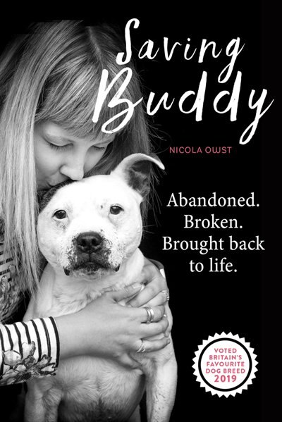 Saving Buddy: Abandoned. Broken. Brought Back To Life.