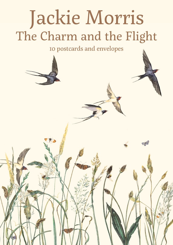 Front cover_The Charm And The Flight Postcard Pack