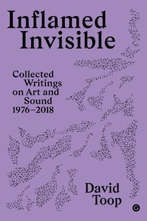 Front cover_Inflamed Invisible