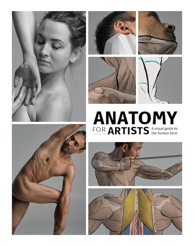 Front cover_Anatomy For Artists