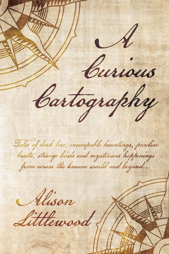 Front cover_A Curious Cartography