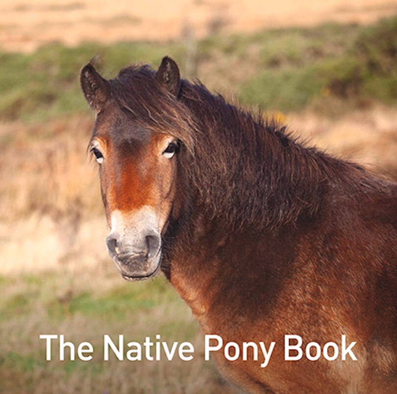 Front cover_The Native Pony Book
