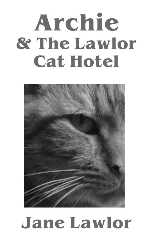 Front cover_Archie & The Lawlor Cat Hotel