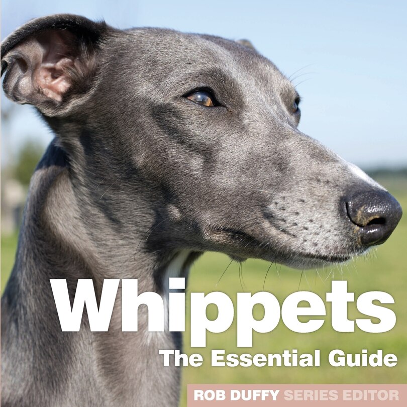 Front cover_Whippets