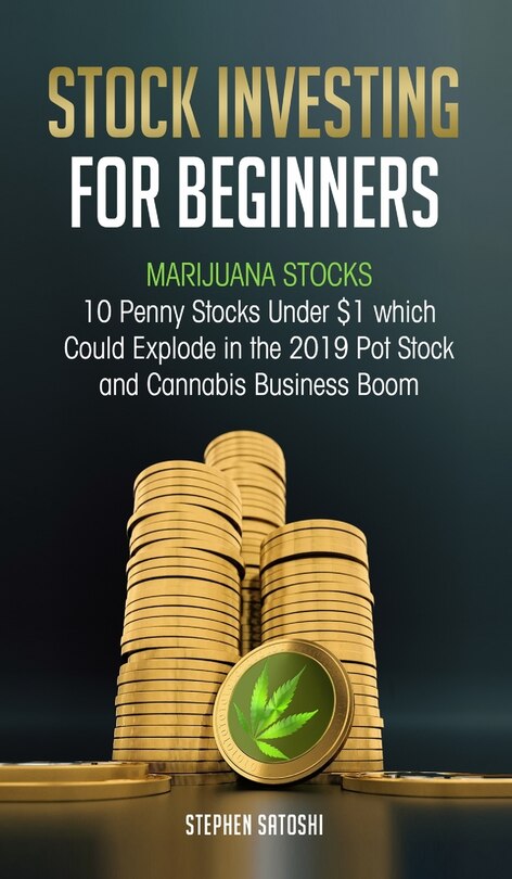 Front cover_Stock Investing for Beginners