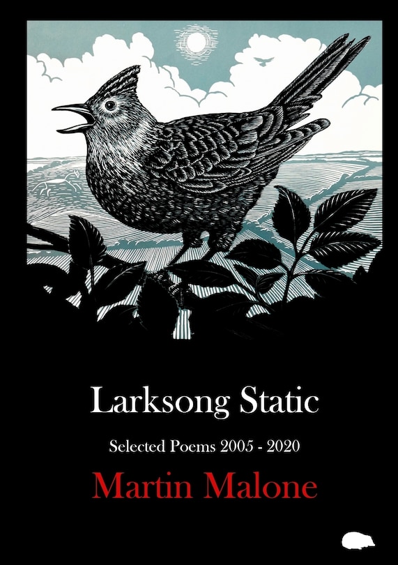 Couverture_Larksong Static