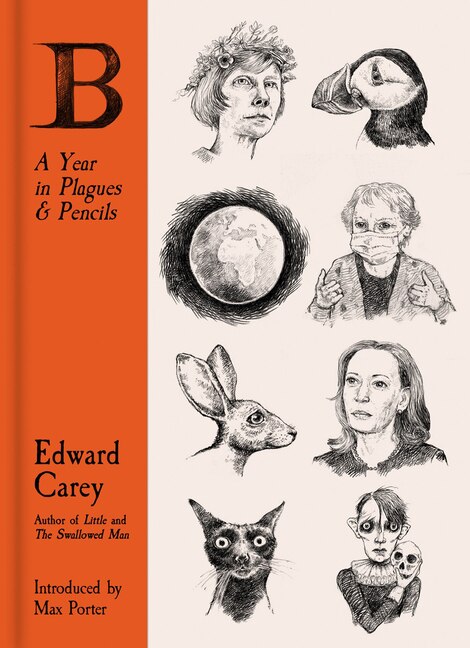 Front cover_B: A Year In Plagues And Pencils