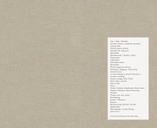 Front cover_A Pound of Pictures