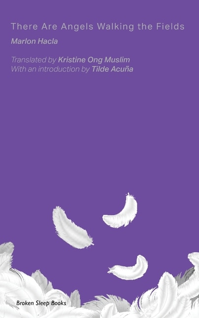 Couverture_There Are Angels Walking The Fields