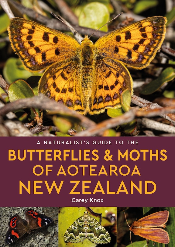 Couverture_A Naturalist's Guide to the Butterflies & Moths of Aotearoa New Zealand