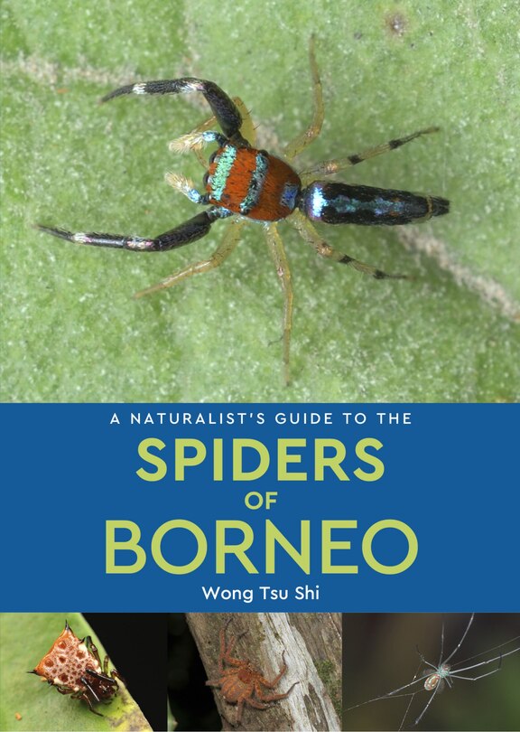 Couverture_A Naturalist's Guide to the Spiders of Borneo