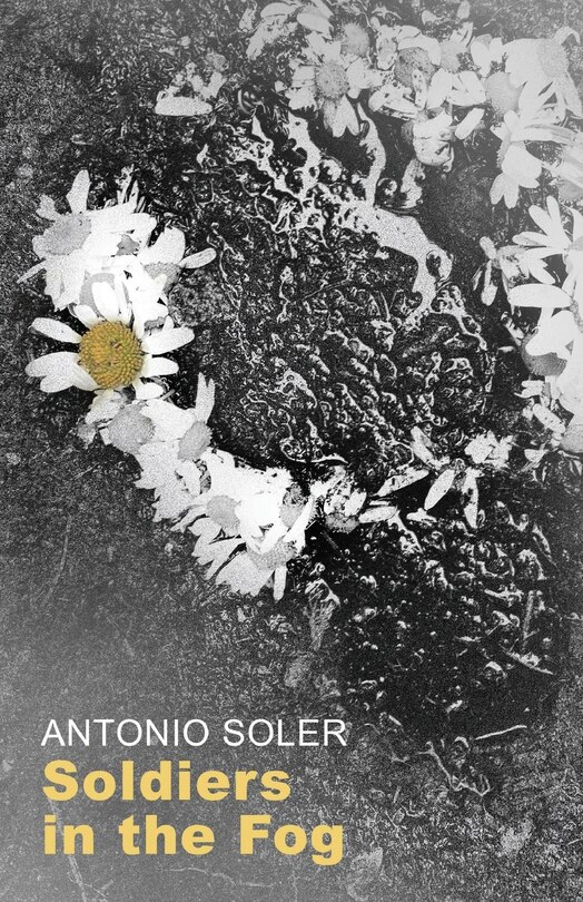 Front cover_Soldiers in the Fog