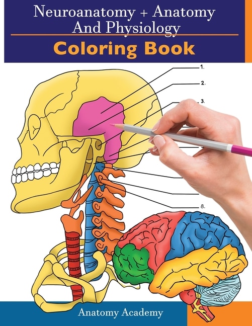 Front cover_Neuroanatomy + Anatomy And Physiology Coloring Book