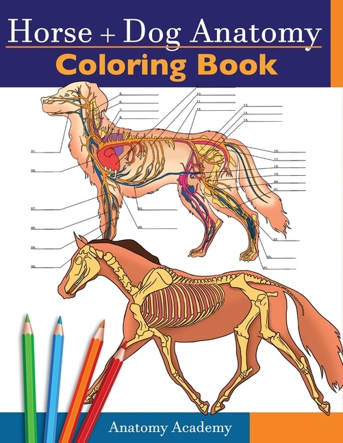 Front cover_Horse + Dog Anatomy Coloring Book